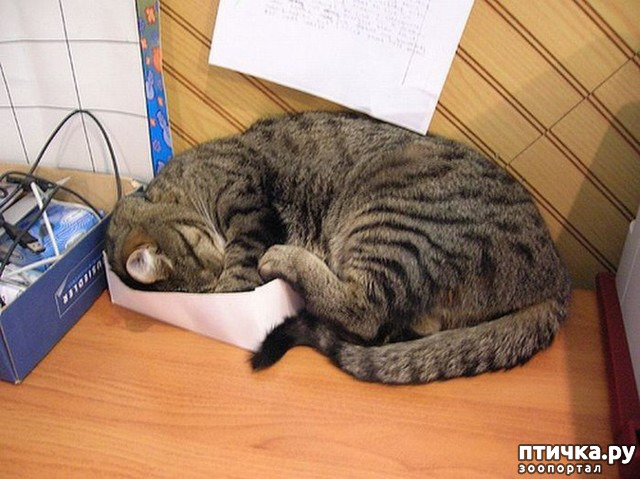 ���� 10: ������ ����� ��������