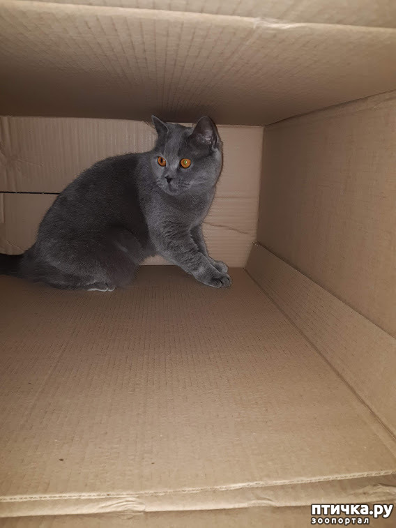 ���� 11: ������ ����� ��������