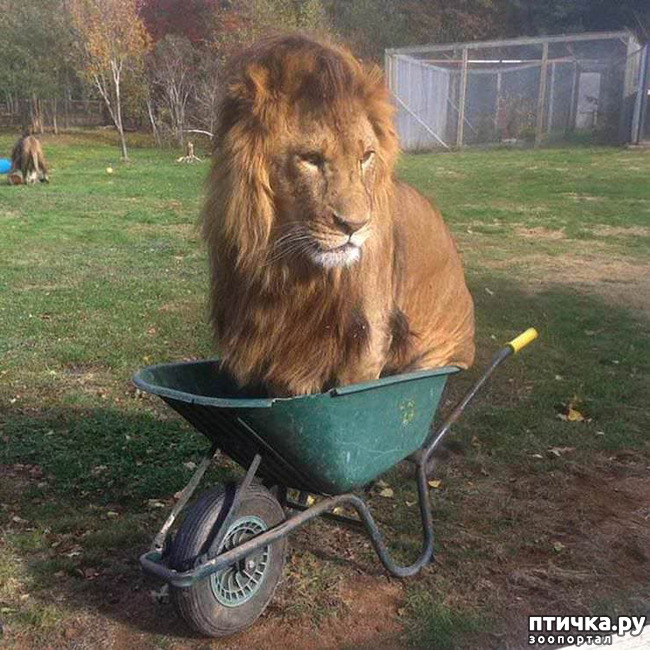 ���� 12: ������ ����� ��������