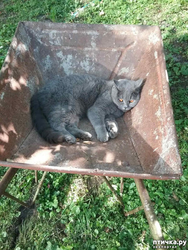 ���� 13: ������ ����� ��������