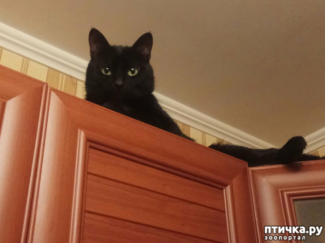 ���� 8: ������ �� �������