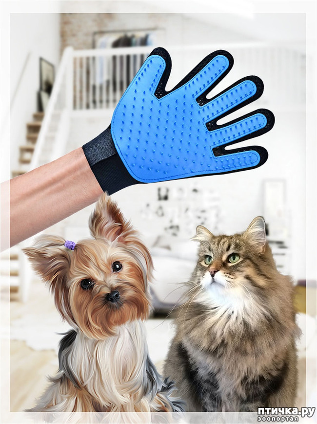 ���� 1: ��������-����� ��� ��������