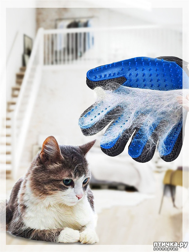 ���� 2: ��������-����� ��� ��������