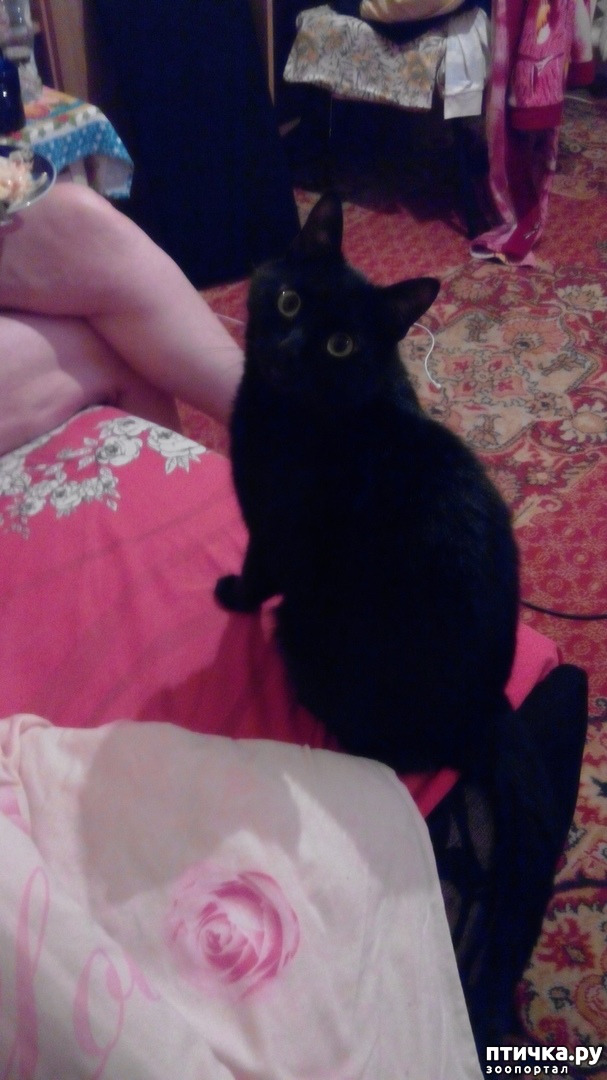 ���� 9: ������ �� �������