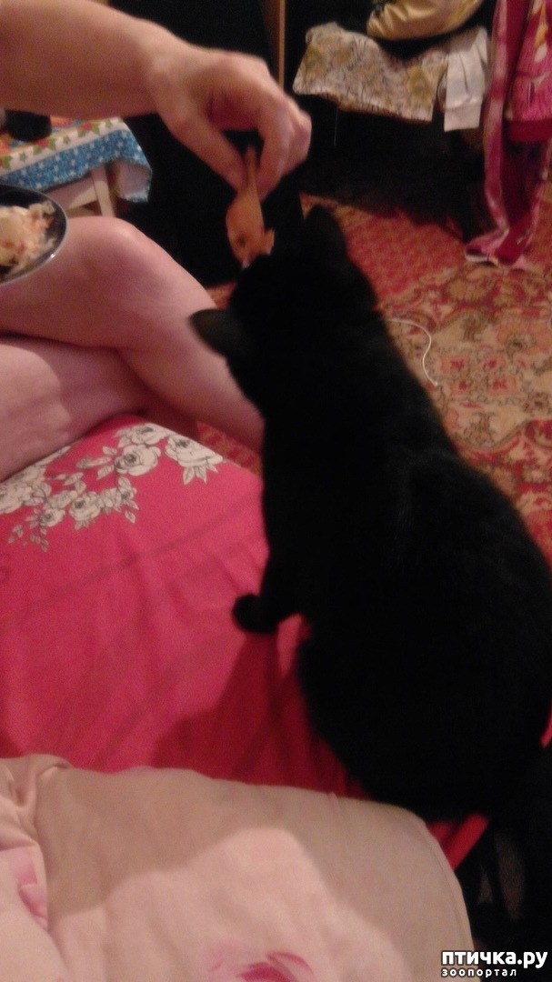 ���� 10: ������ �� �������