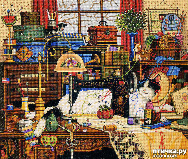 ���� 4: ���� � ��� ���-�� ��������� � ����, �������� ��� �� ����...