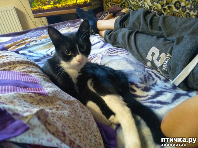 ���� 6: ������ �� �������