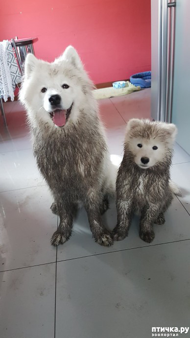 ���� 1: ���� � ����