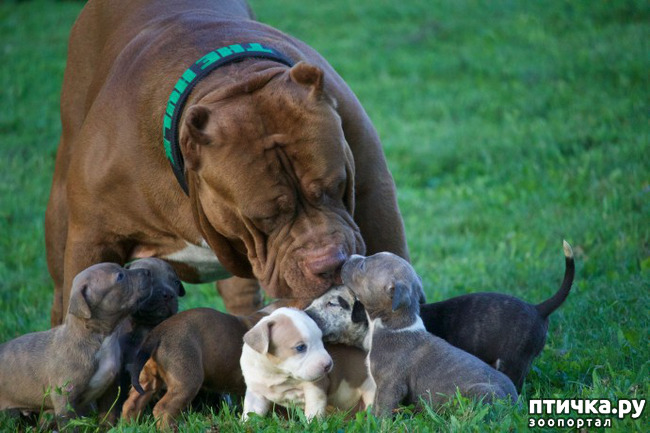 ���� 4: ���� � ����