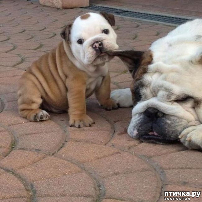 ���� 5: ���� � ����