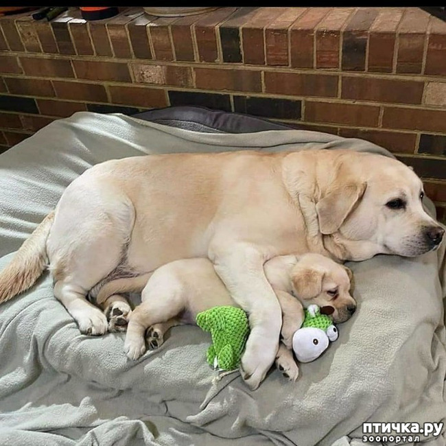 ���� 7: ���� � ����