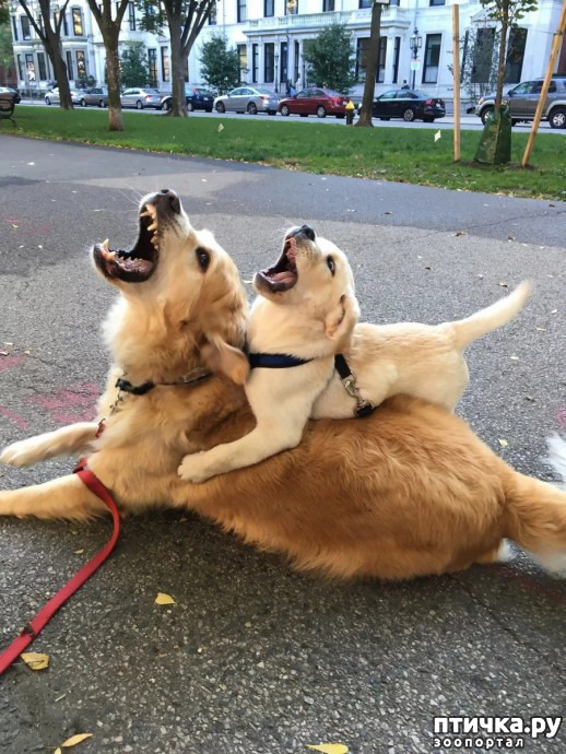 ���� 8: ���� � ����