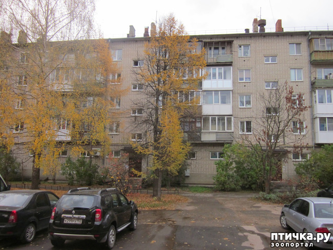 ���� 10: ����� ��� ������� ���������