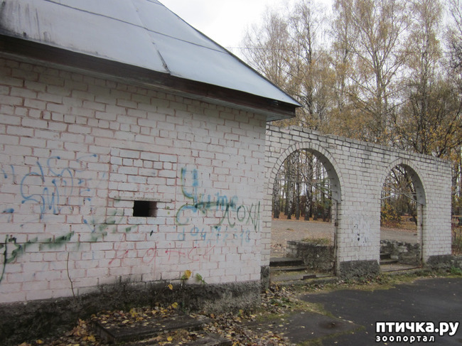 ���� 2: ����� ��� ������� ���������