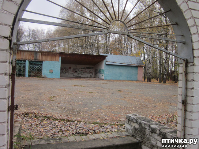 ���� 3: ����� ��� ������� ���������