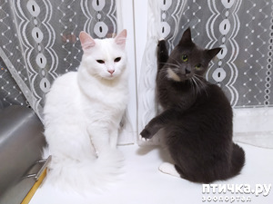 ����: ����������!