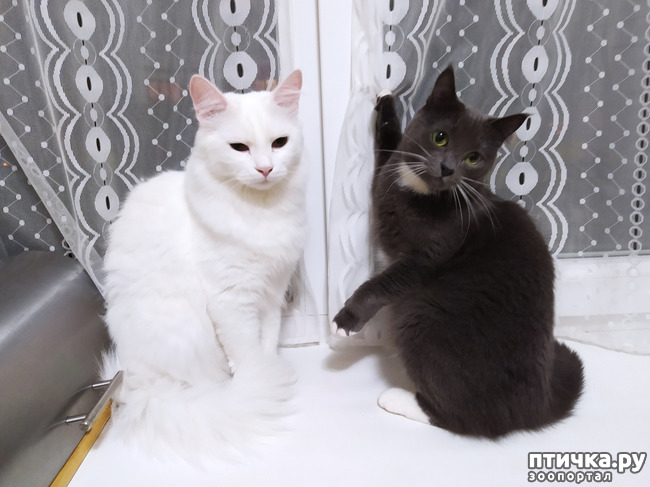 ���� 1: ����������!