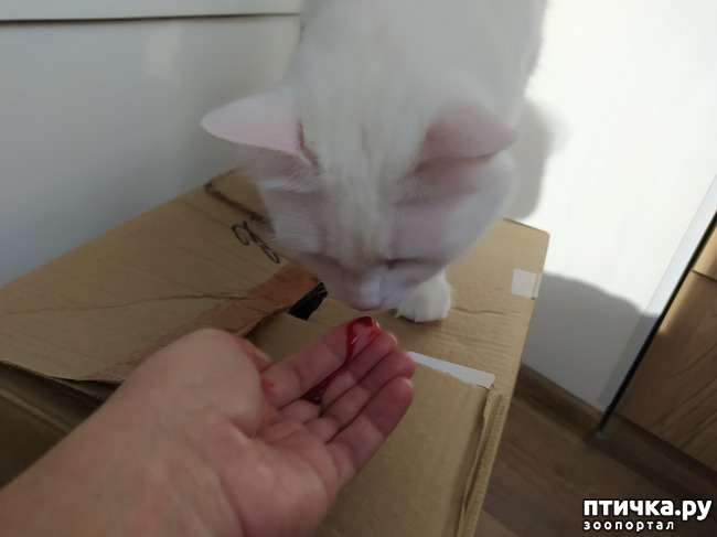 ���� 2: ����������!