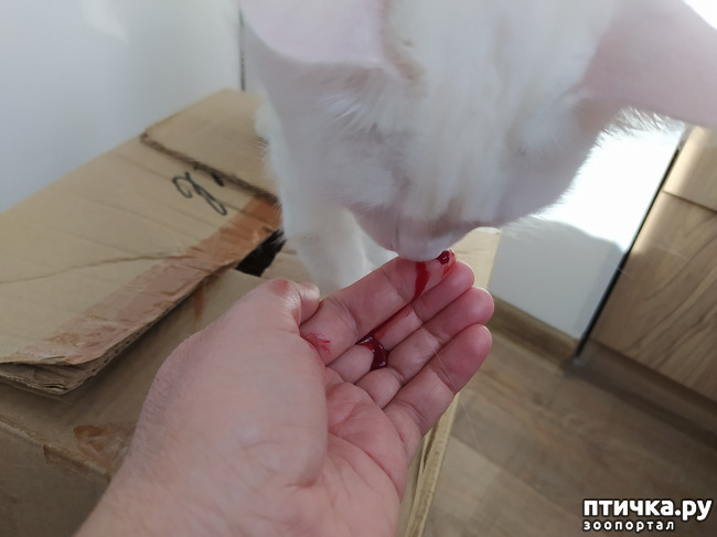 ���� 3: ����������!