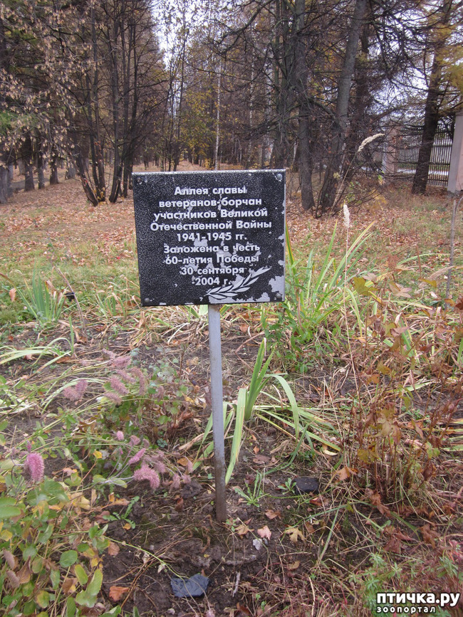 ���� 4: ����� ��� ������� ���������