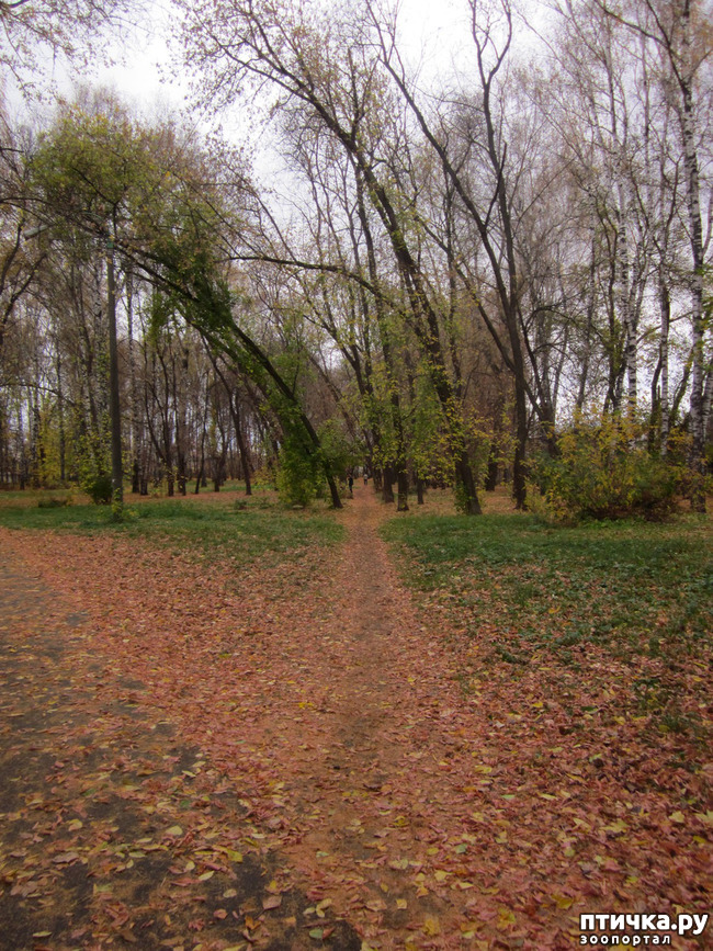 ���� 6: ����� ��� ������� ���������