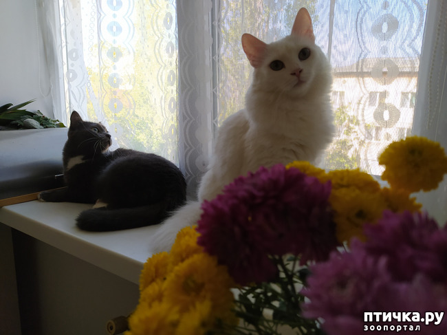 ���� 1: ��� �������, �� � �������