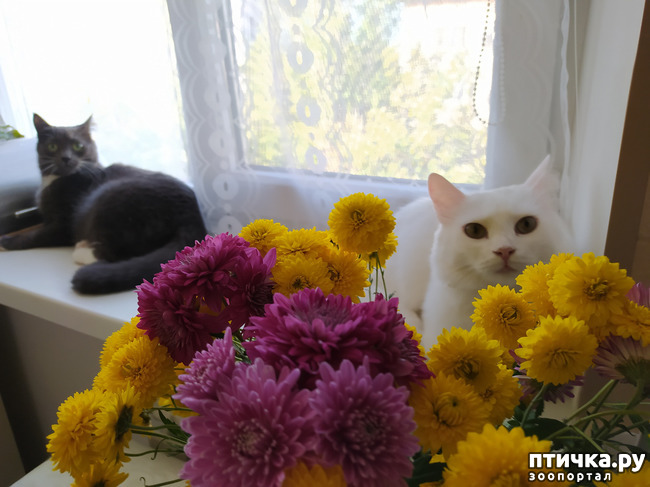 ���� 3: ��� �������, �� � �������