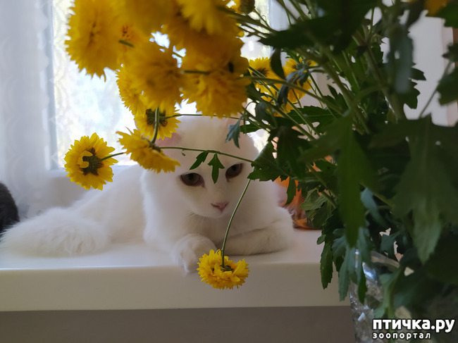 ���� 4: ��� �������, �� � �������