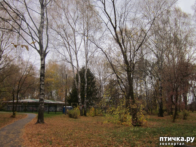 ���� 9: ����� ��� ������� ���������