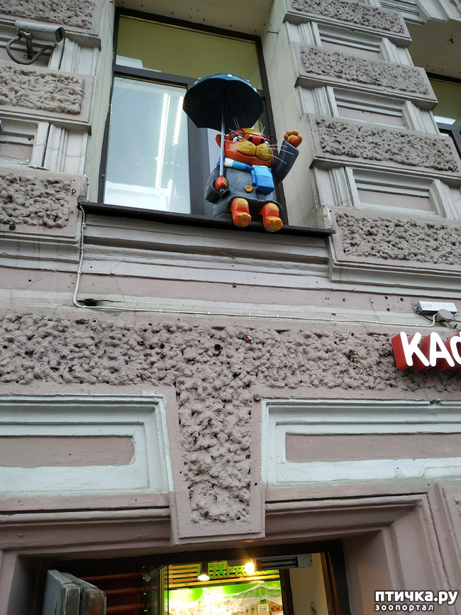 ���� 2: ���� ������ � ������!