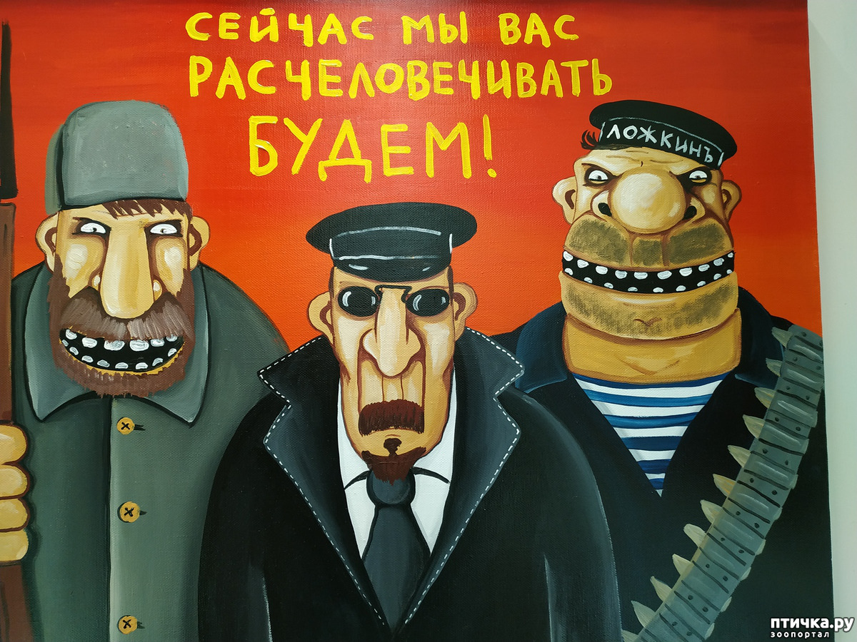 Картинка не время улыбаться