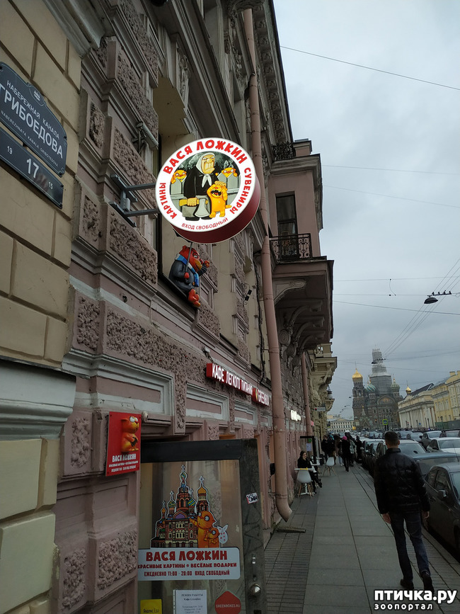 ���� 3: ���� ������ � ������!