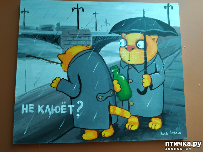 ���� 5: ���� ������ � ������!