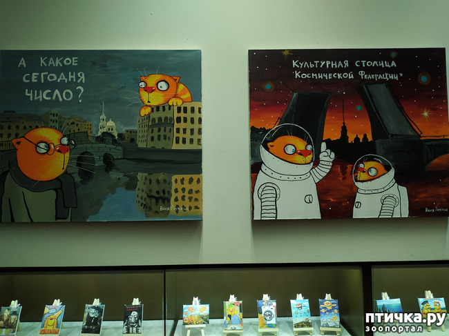 ���� 7: ���� ������ � ������!