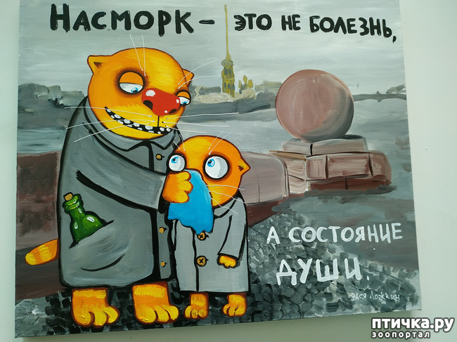 ���� 8: ���� ������ � ������!