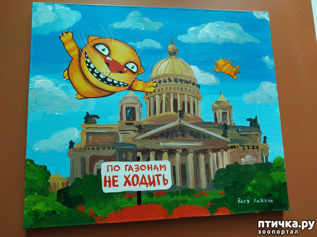 ���� 6: ���� ������ � ������!