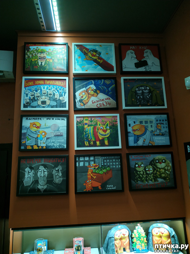 ���� 10: ���� ������ � ������!