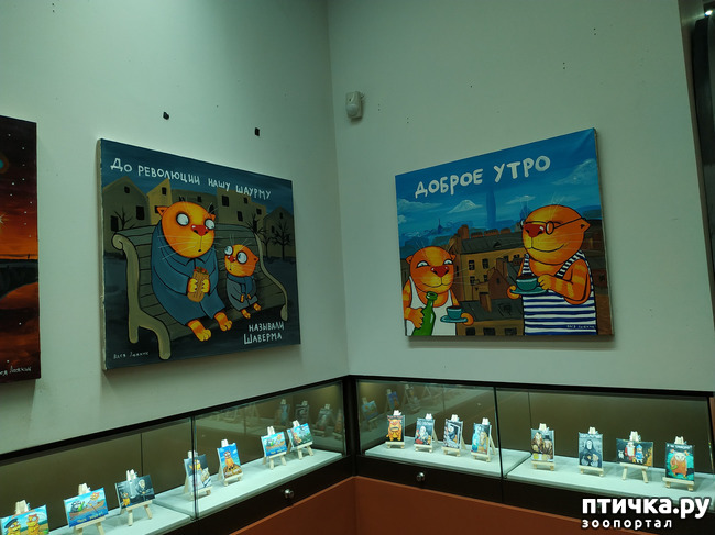 ���� 11: ���� ������ � ������!