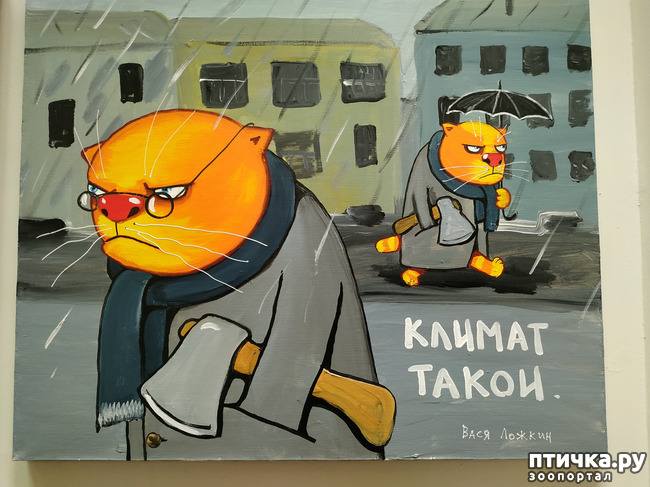 ���� 14: ���� ������ � ������!