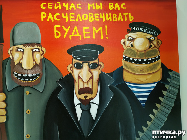 ���� 12: ���� ������ � ������!