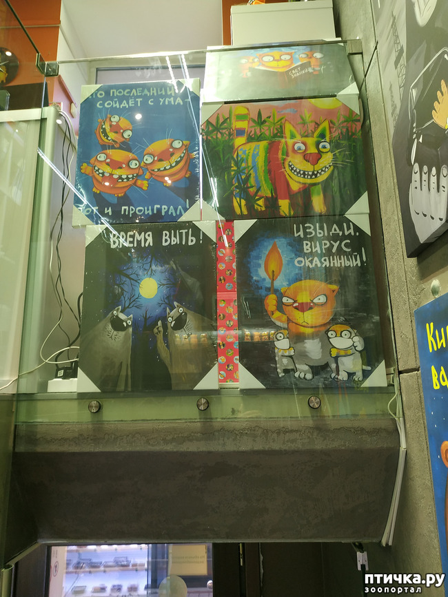 ���� 9: ���� ������ � ������!