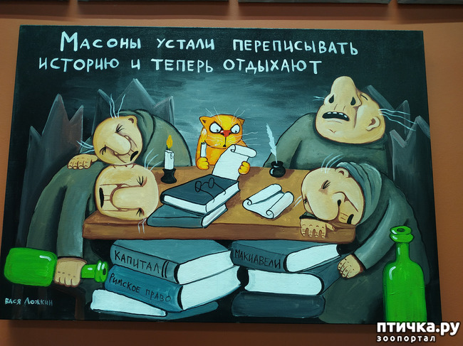 ���� 15: ���� ������ � ������!