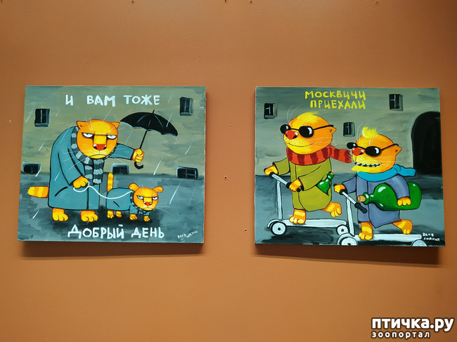 ���� 17: ���� ������ � ������!