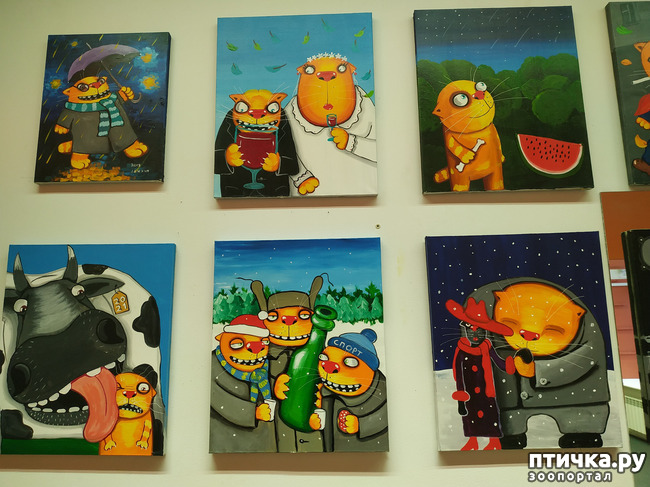 ���� 18: ���� ������ � ������!