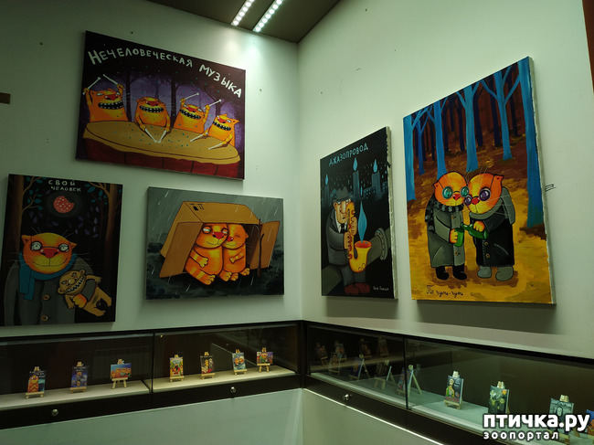 ���� 19: ���� ������ � ������!