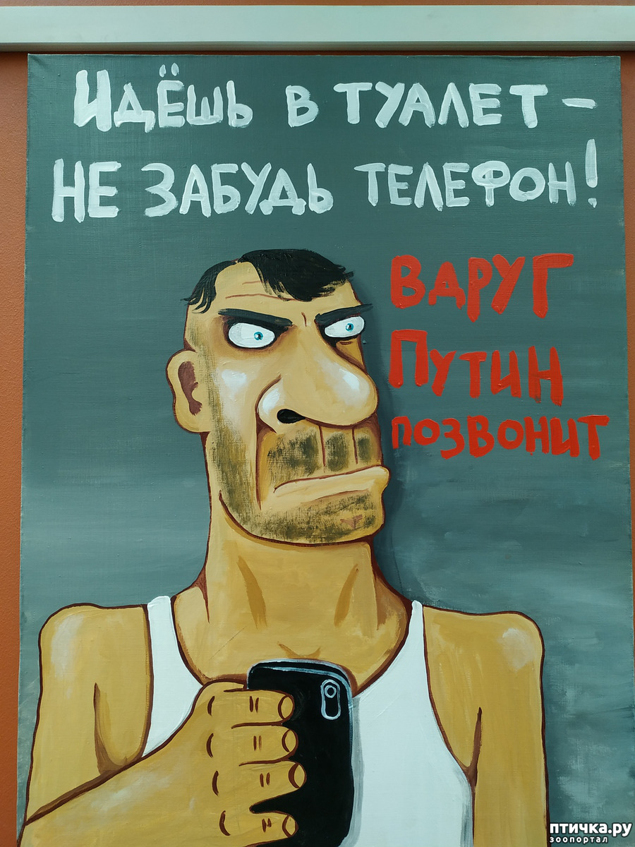 Картинка вася работает