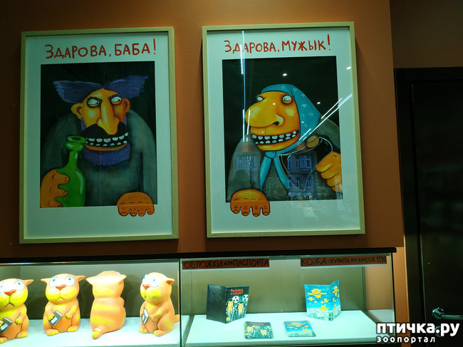 ���� 22: ���� ������ � ������!