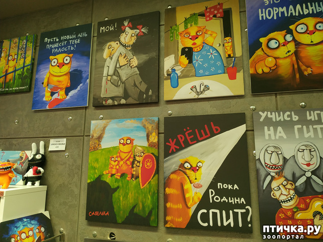 ���� 21: ���� ������ � ������!