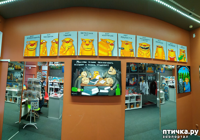 ���� 25: ���� ������ � ������!