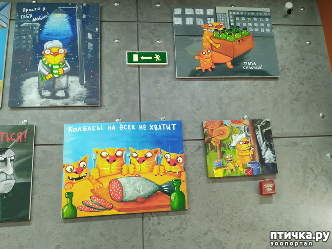 ���� 23: ���� ������ � ������!